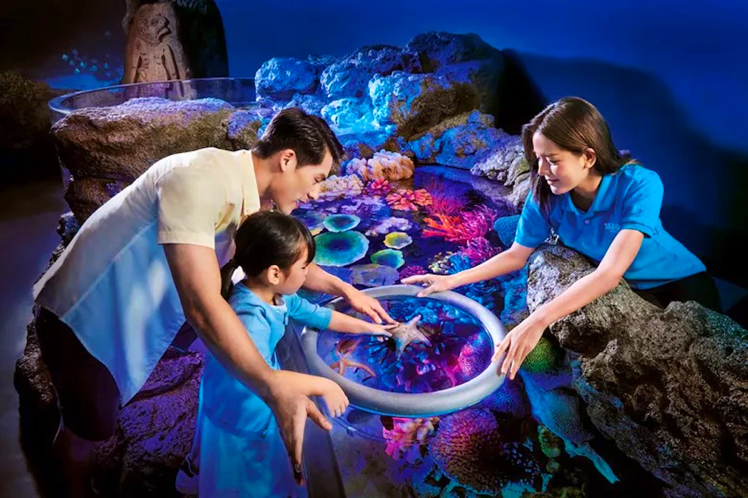 Sea Life Bangkok Tickets Review